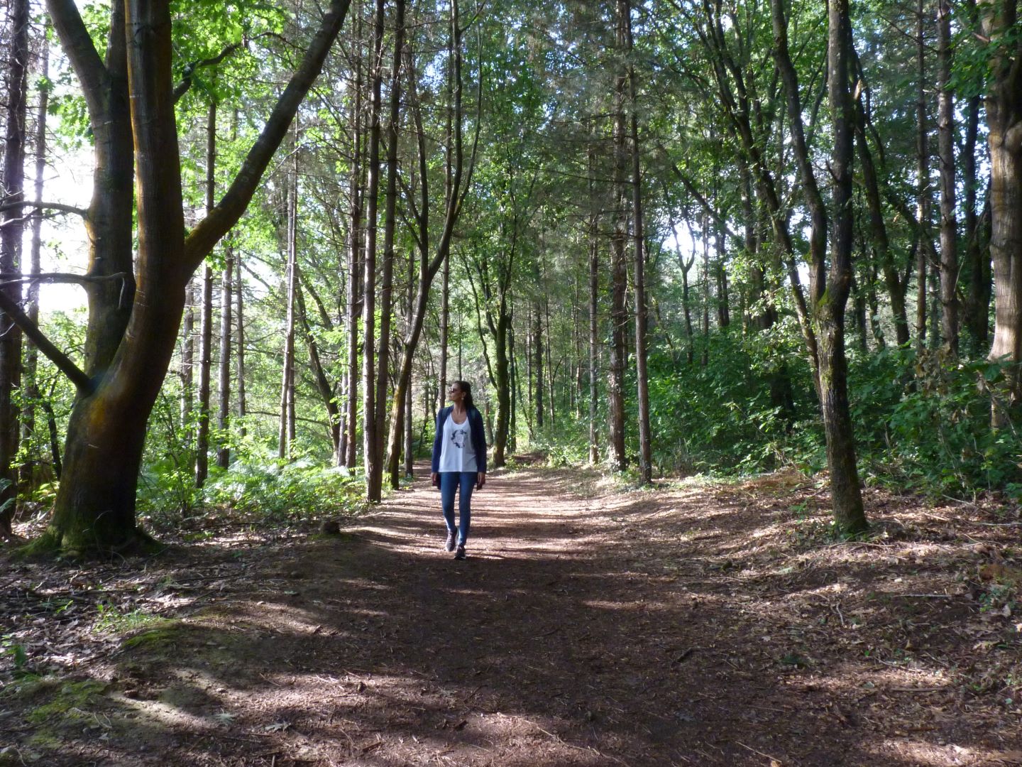 Lac de l'Ayguelongue, Mazerolles - photo 10
