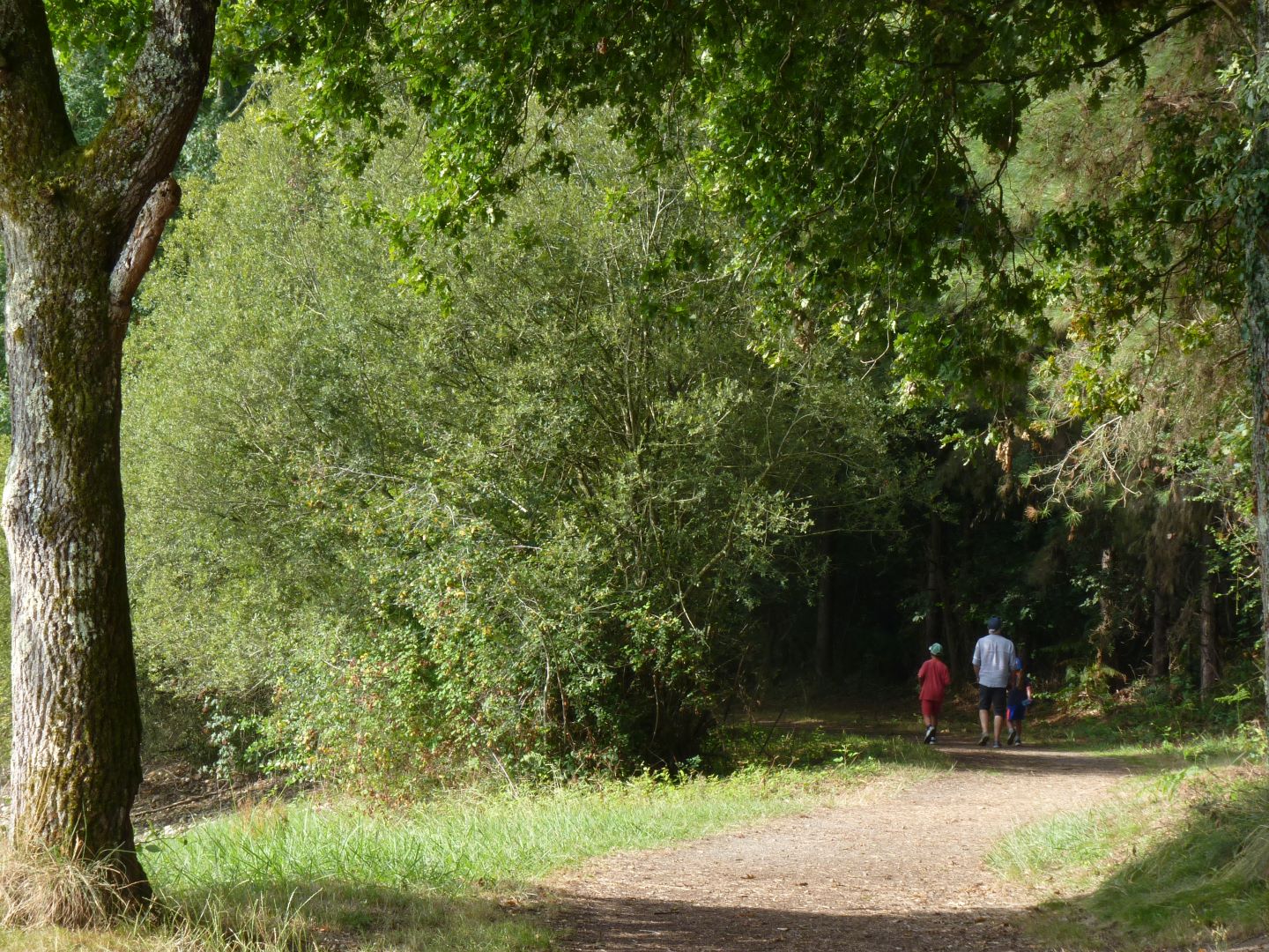 Momas : Tour du lac de l'Ayguelongue, Momas