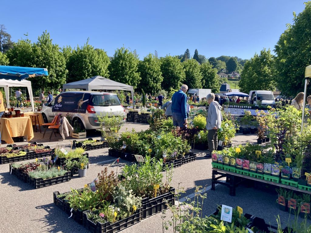 Marché aux fleurs - photo 3