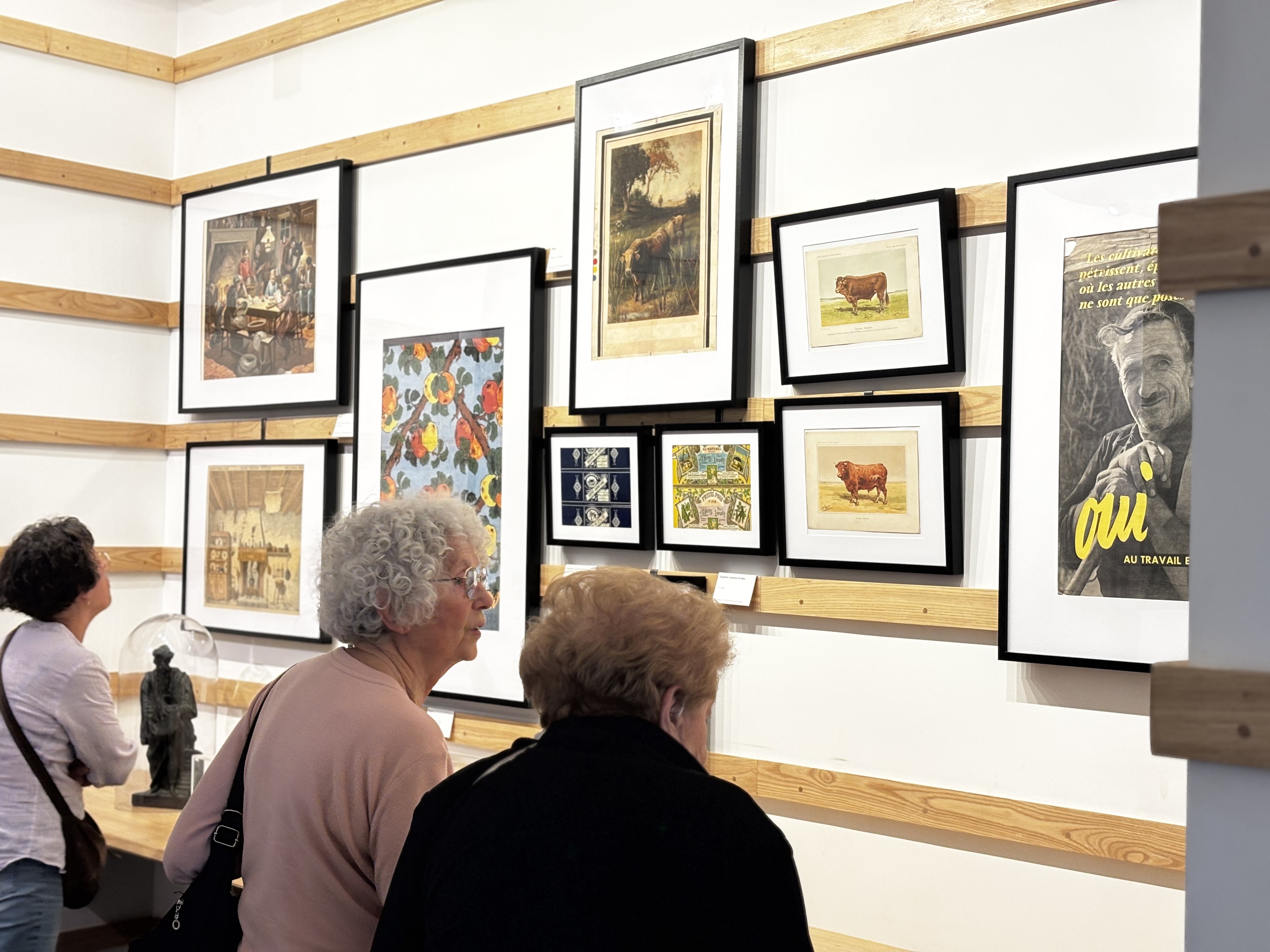 Musée d'Art et d'Histoire de Saint-Yrieix, Saint-Yrieix-la-Perche - photo 3