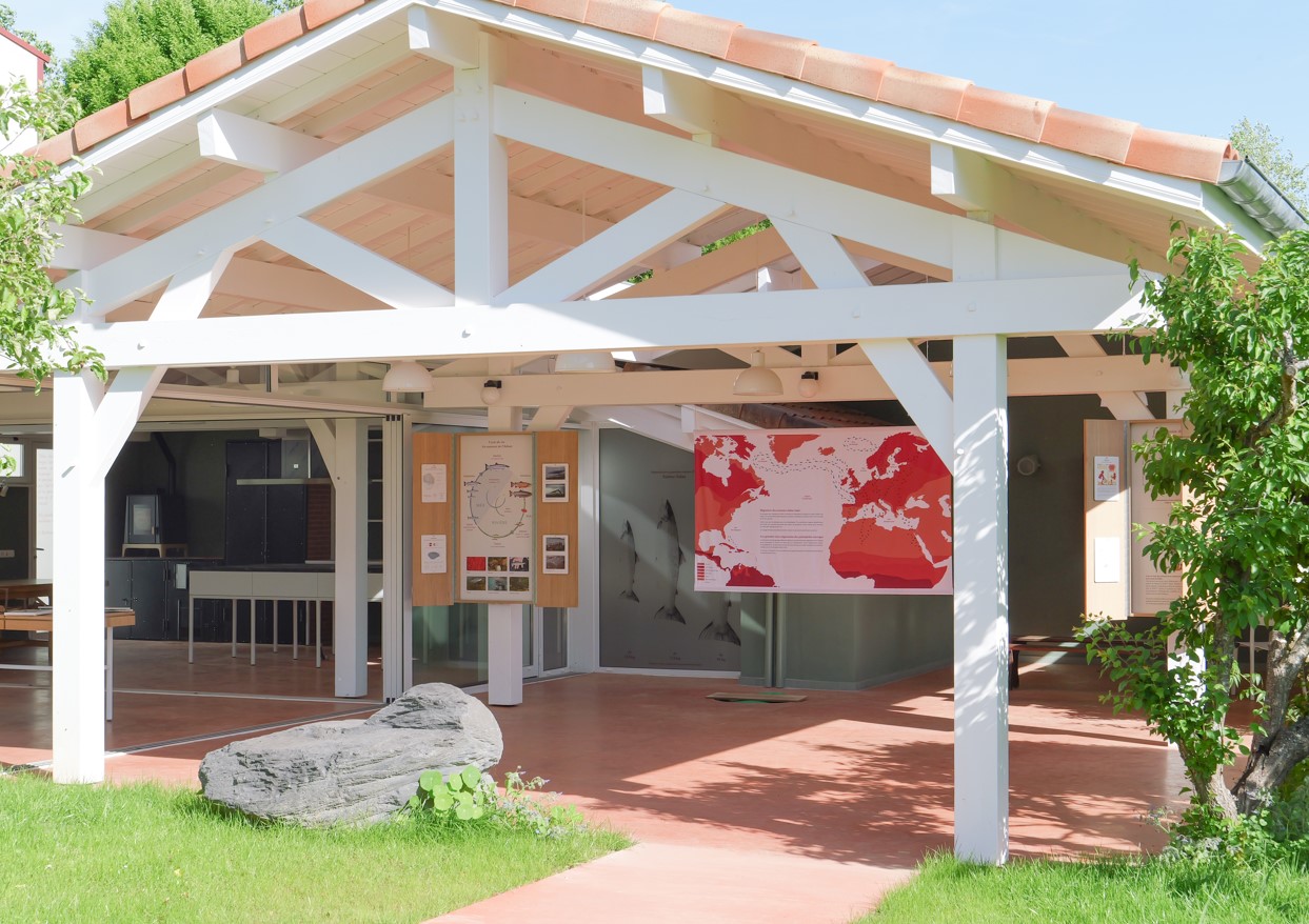 La Maison du Saumon, Peyrehorade - photo 22