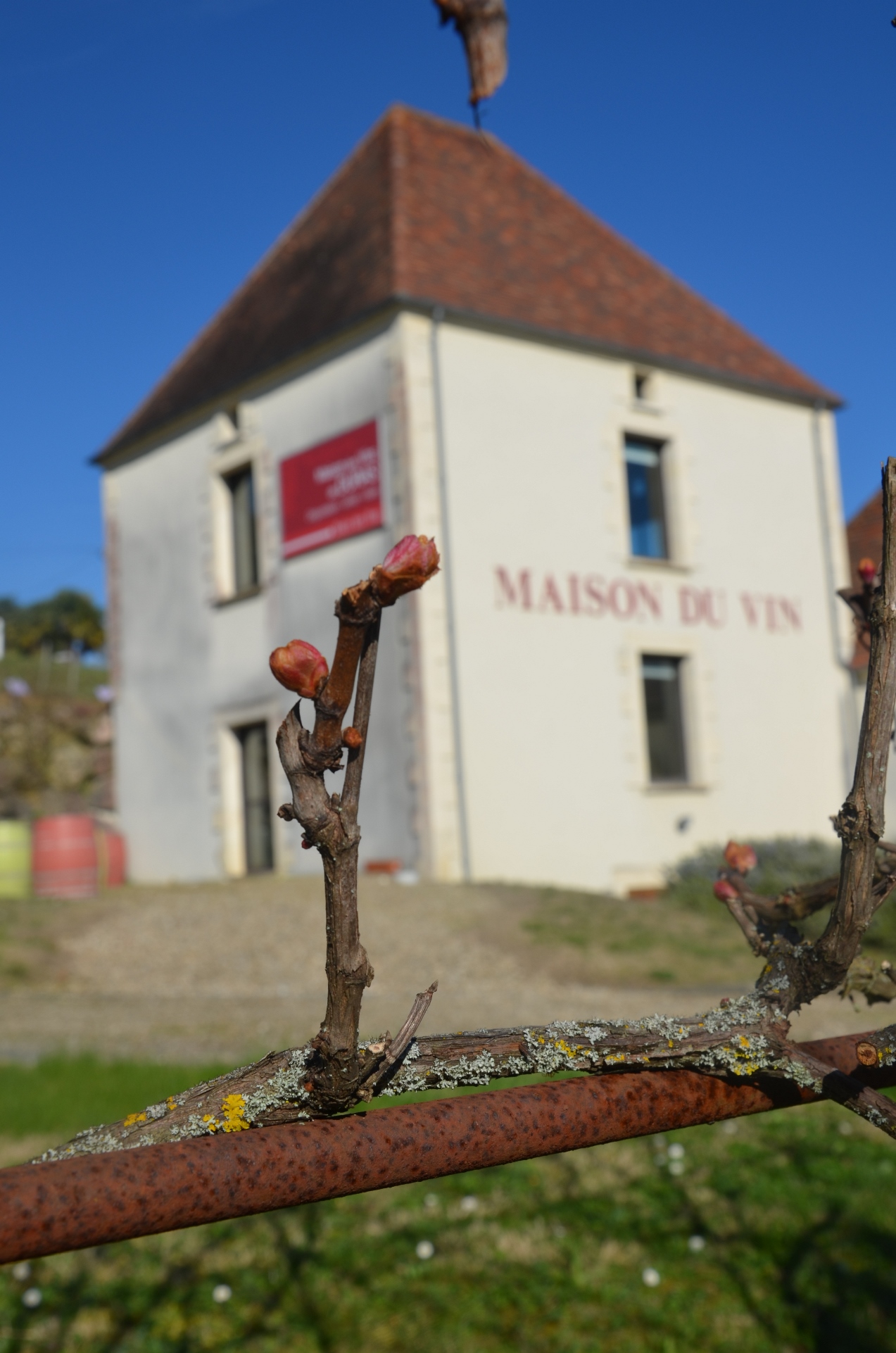 Maison des Vins de Duras - photo 3
