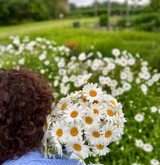 Maison Lapeyre, Miramont-Sensacq - photo 9