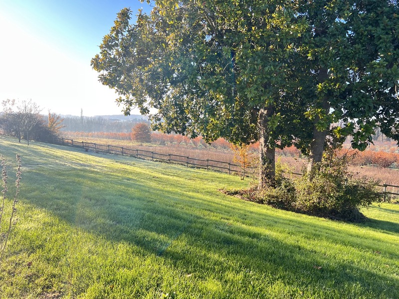 Gîte Les Sarcelles - photo 3