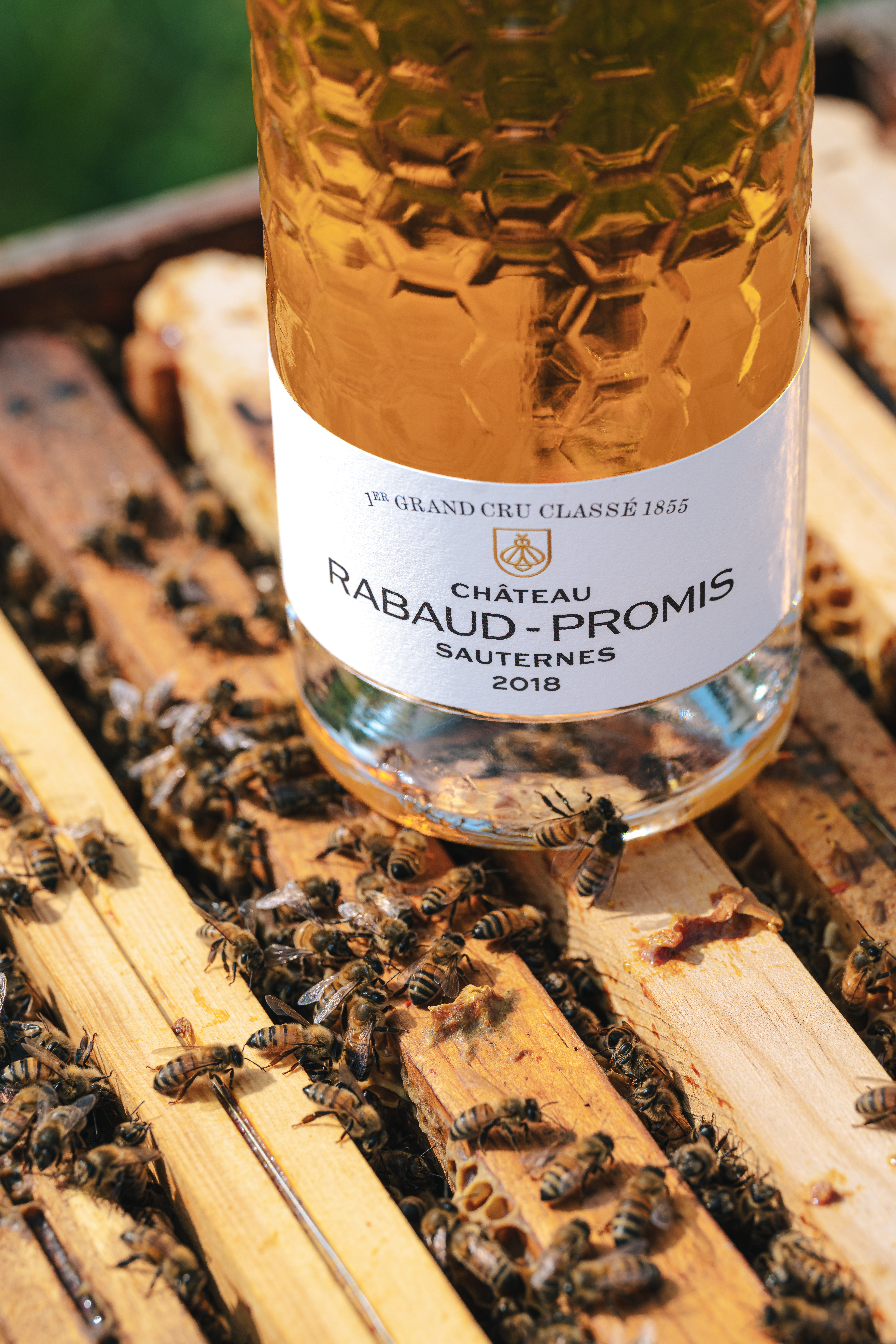 Château Rabaud-Promis