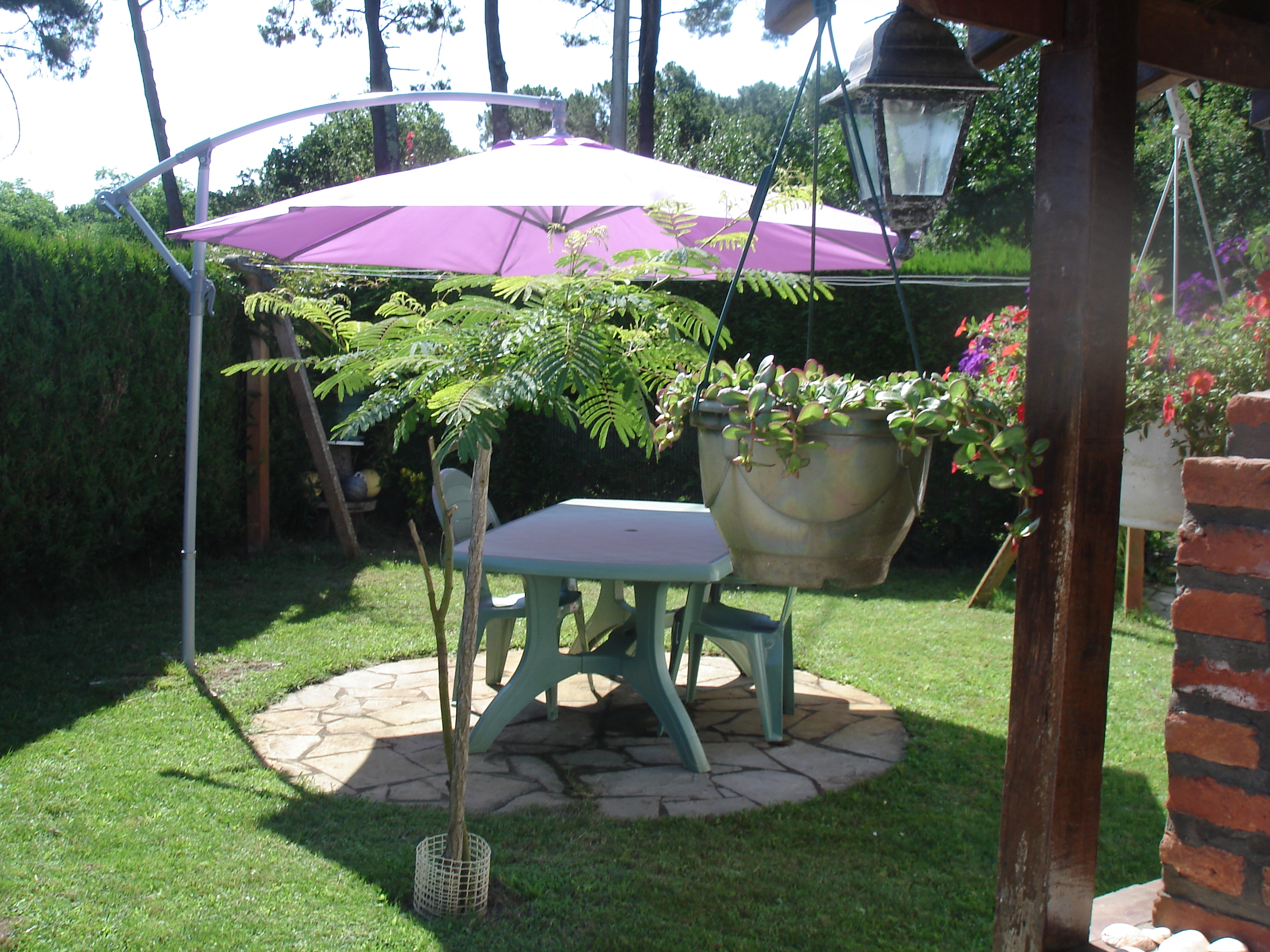 Marchand Pierre Yves - photo 2