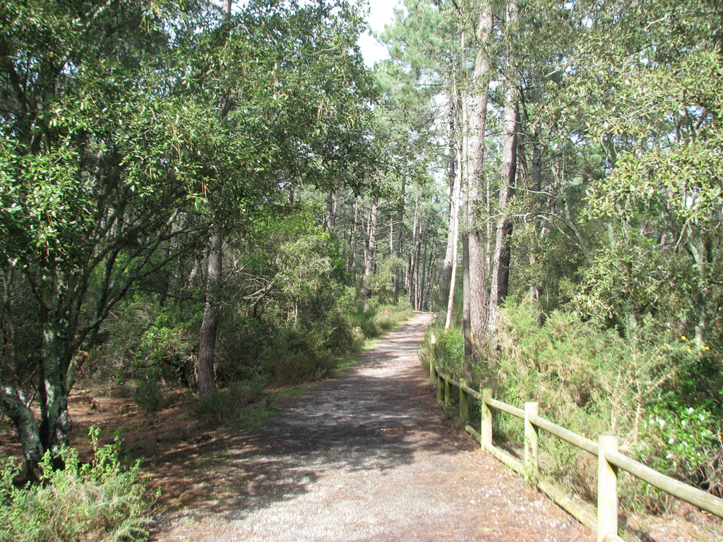 Running de 7km à Maubuisson - Tour du lac, Carcans