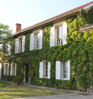 Château Mauvinon - photo 2