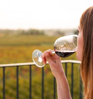 Château Mauvinon - photo 4