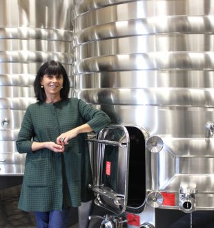 Château Mauvinon - photo 3