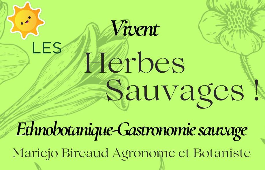 Domaine Les Hauts de Riquets, Baleyssagues - photo 32