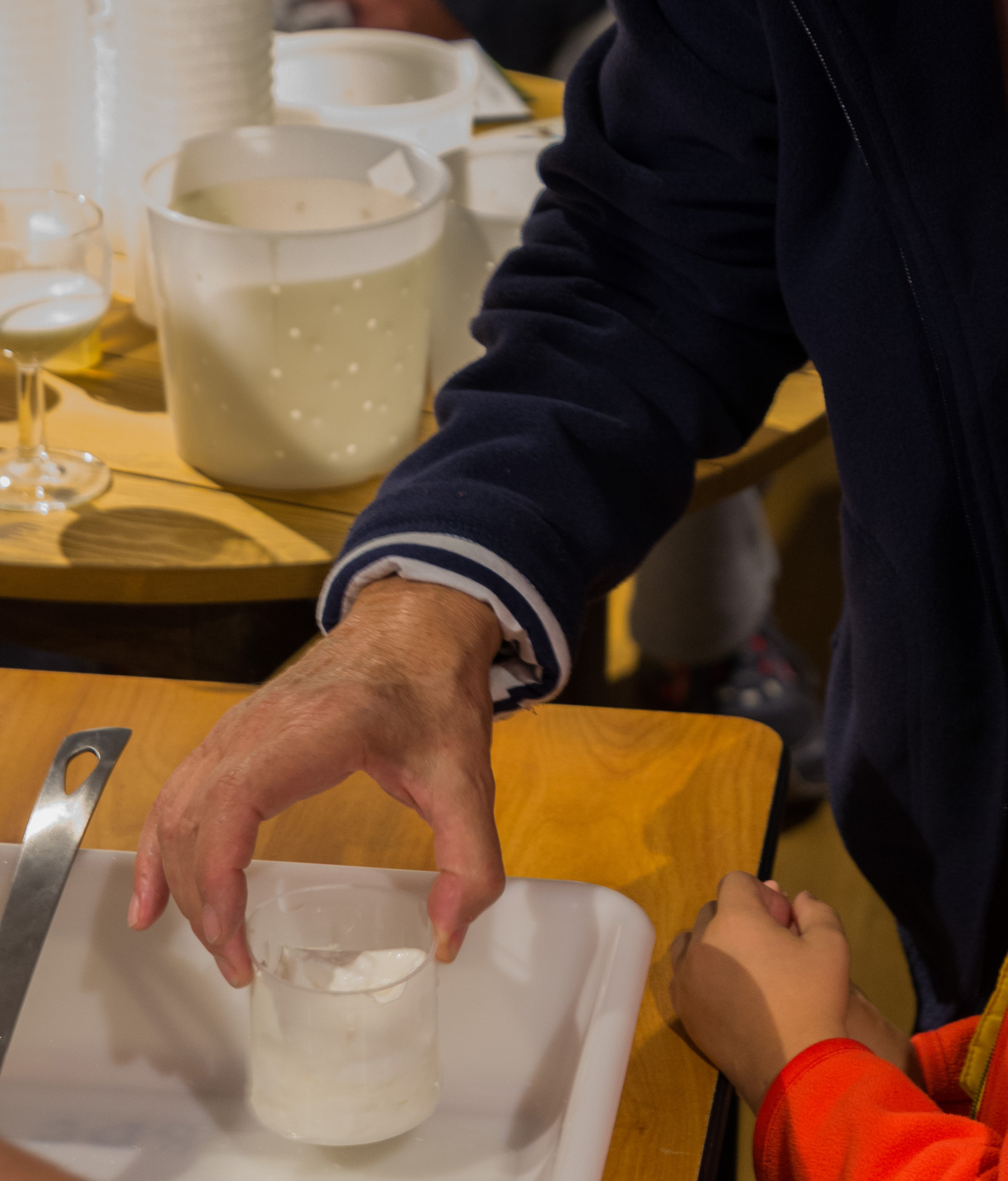 Ateliers découverte - Maison des Fromages de Chèvre - photo 2