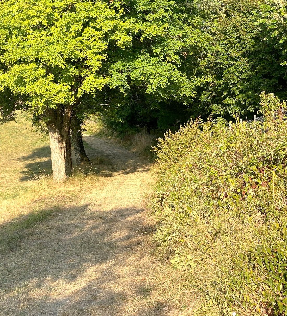 Boucle des Vergers - photo 3