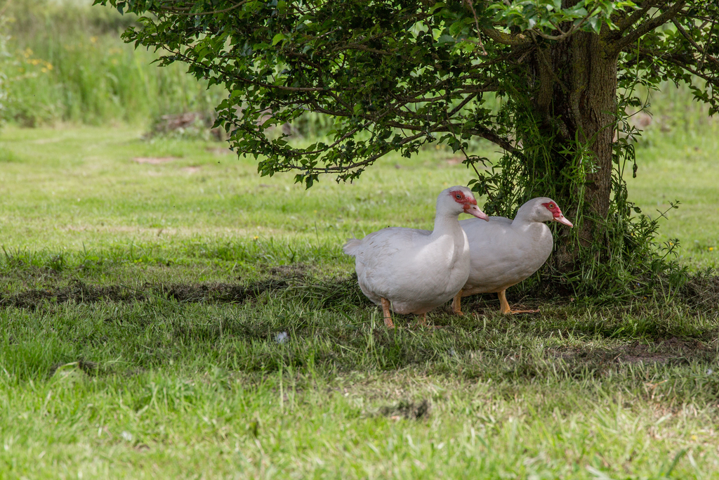 Gîte "le petit Patural", Boussac-Bourg - photo 10