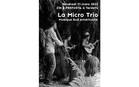 Le Micro Trio : musique Sud Américaine