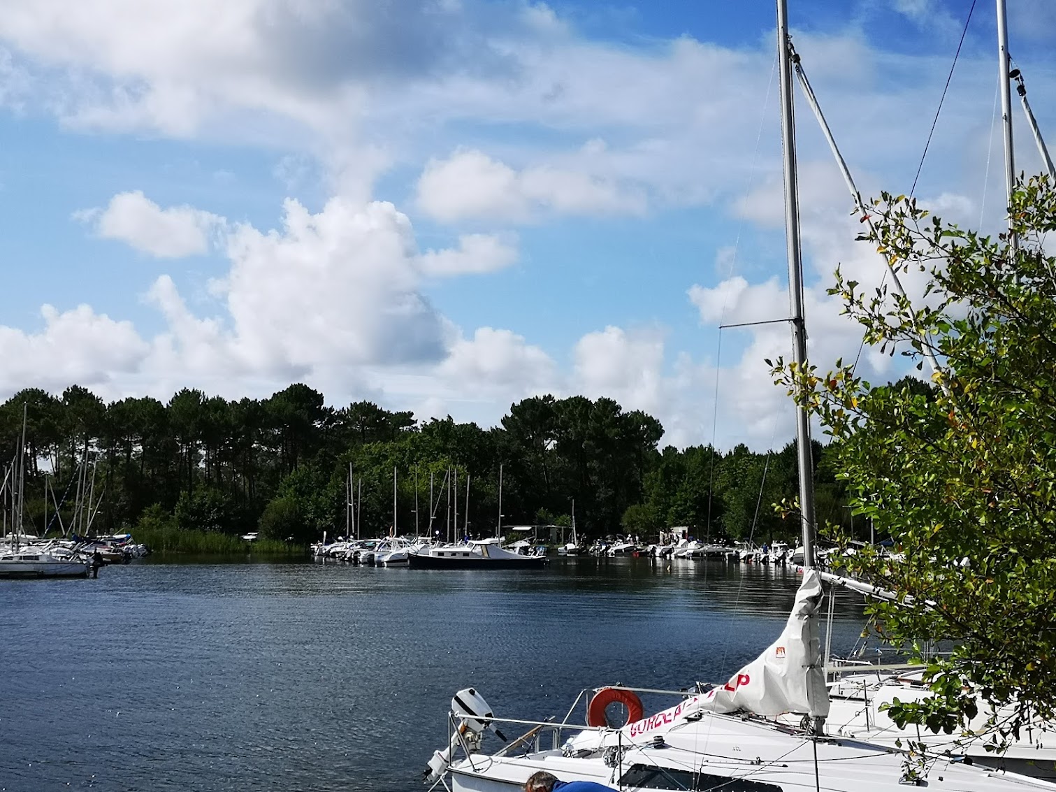 Gite de l'Estey - Maison cosy rénovée, max 9 pers, à 800m à pied du Lac de Sanguinet - SPA & Vélos, Sanguinet - photo 2