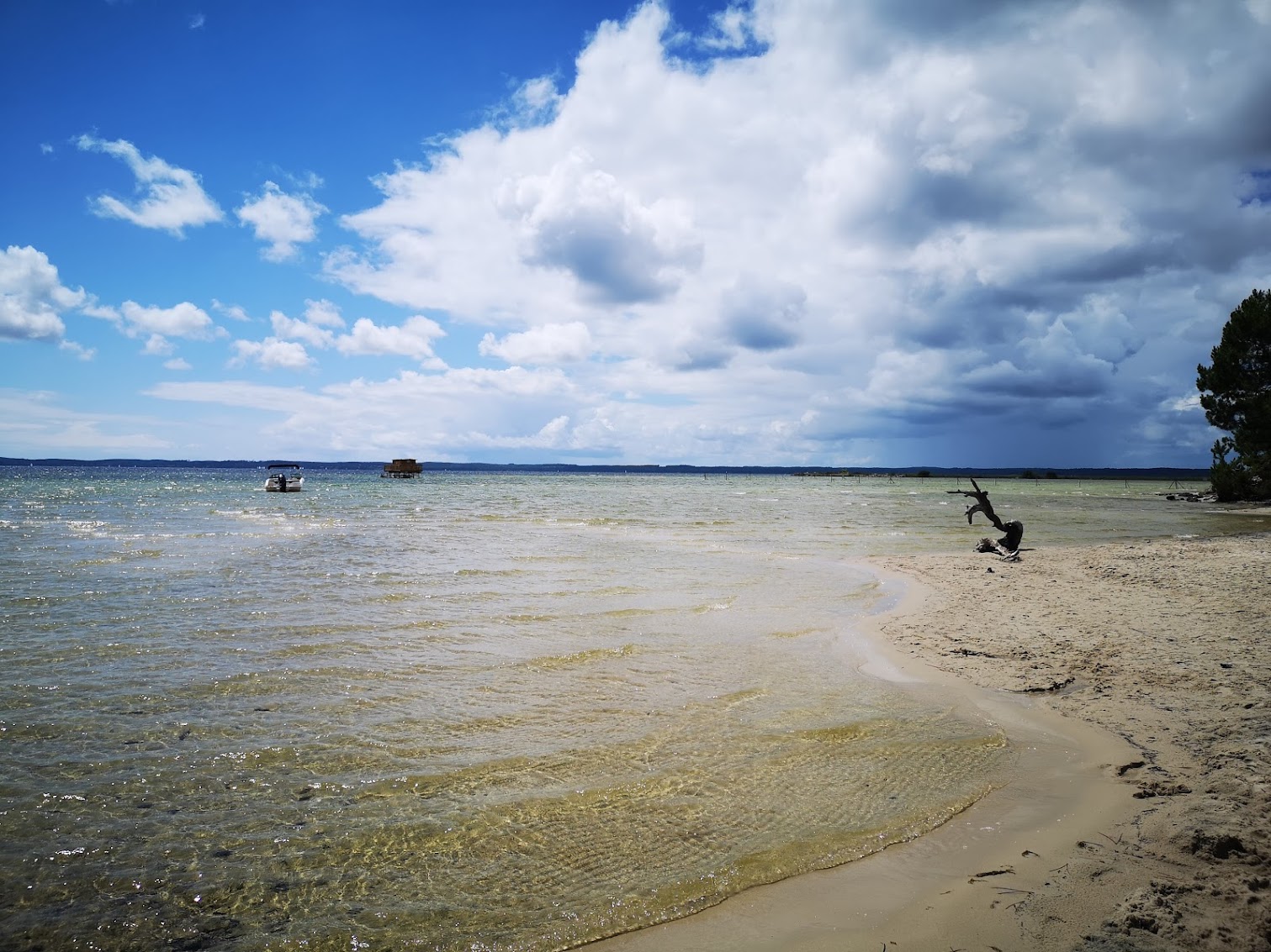 Gite de l'Estey - Maison cosy rénovée, max 9 pers, à 800m à pied du Lac de Sanguinet - SPA & Vélos, Sanguinet - photo 6