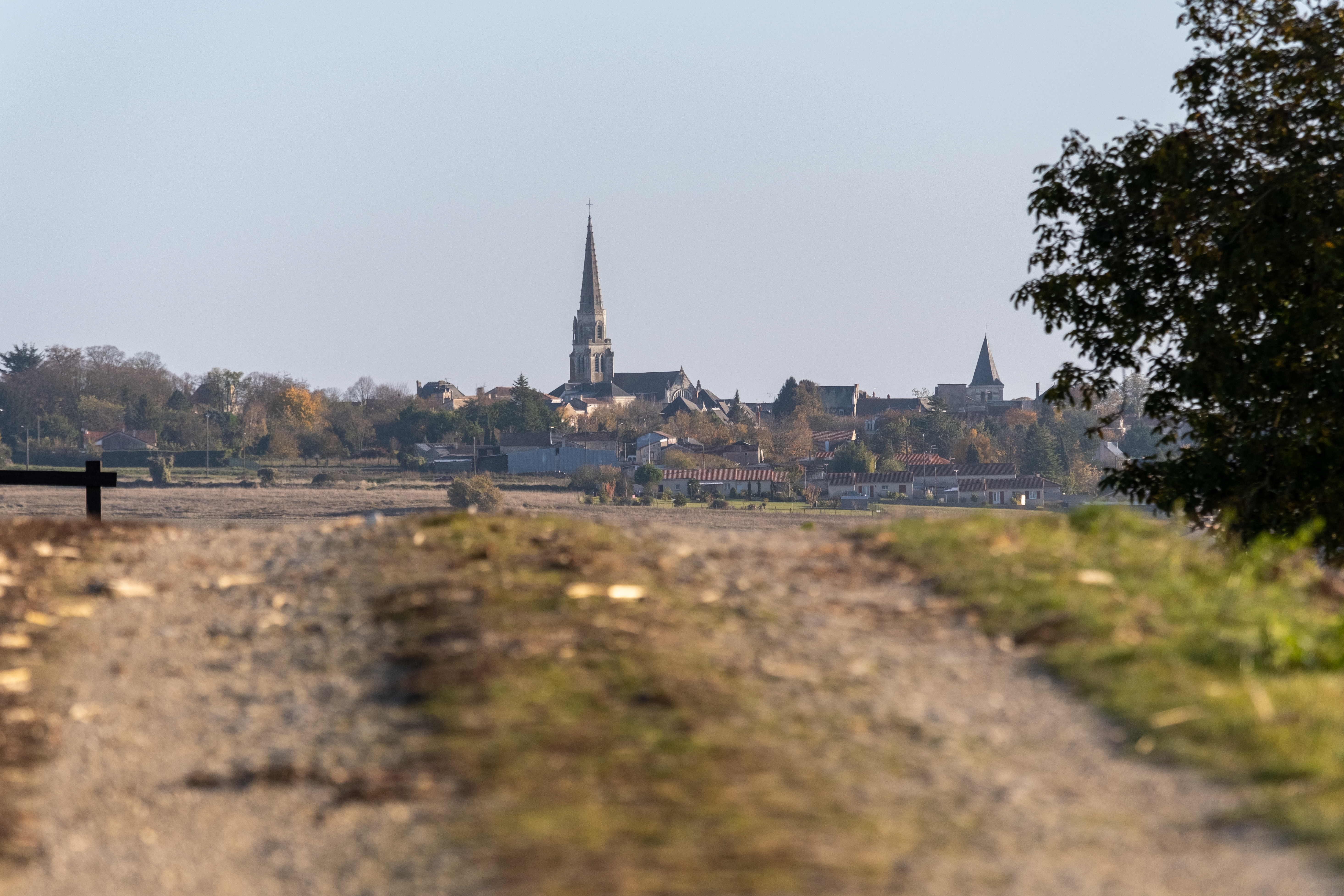 chemin de randonnée mirebeau