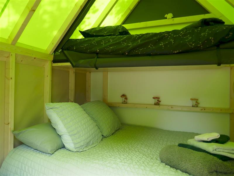 Les Rêves d'Ambre, la cabane choupi