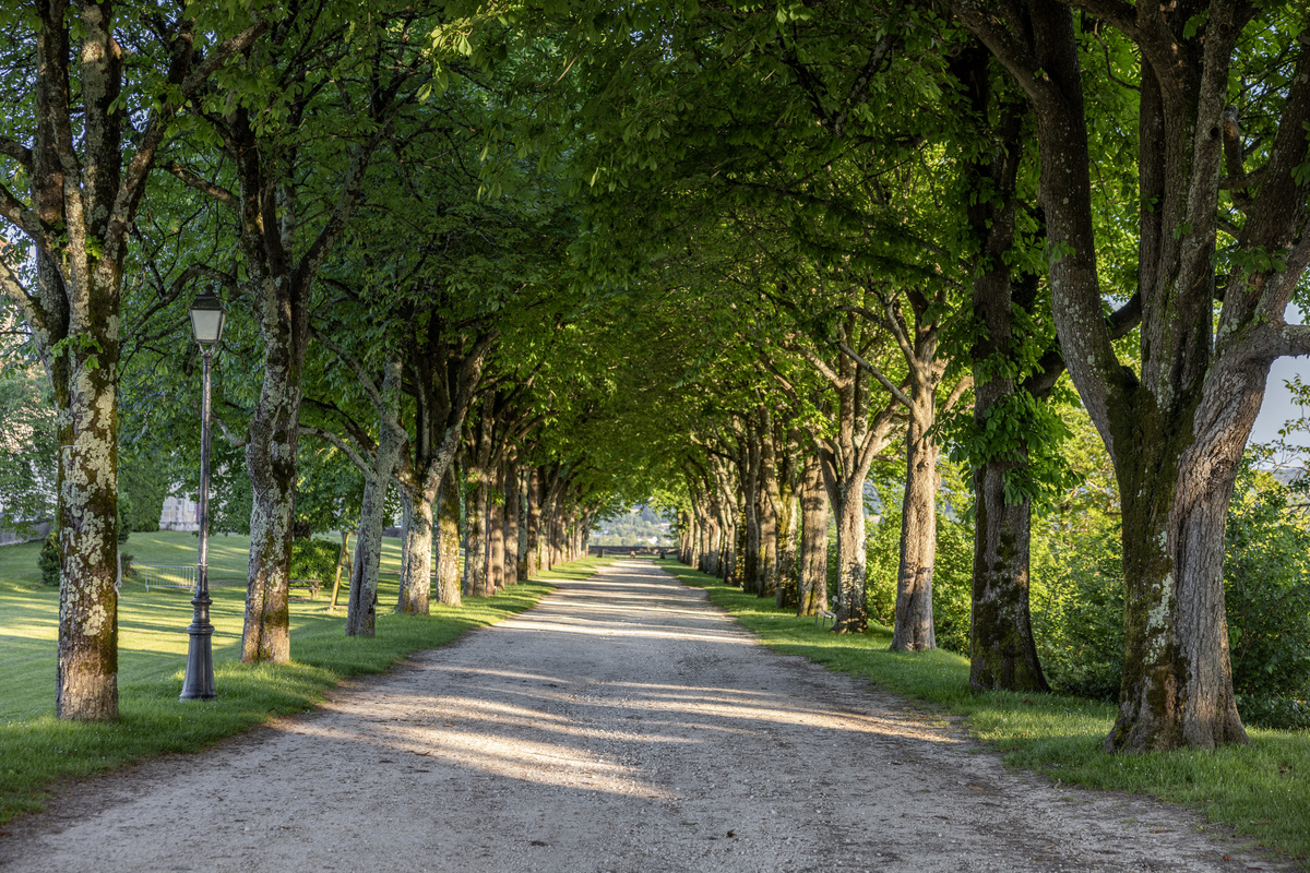 Arrêt sur Village - Montagrier - photo 3