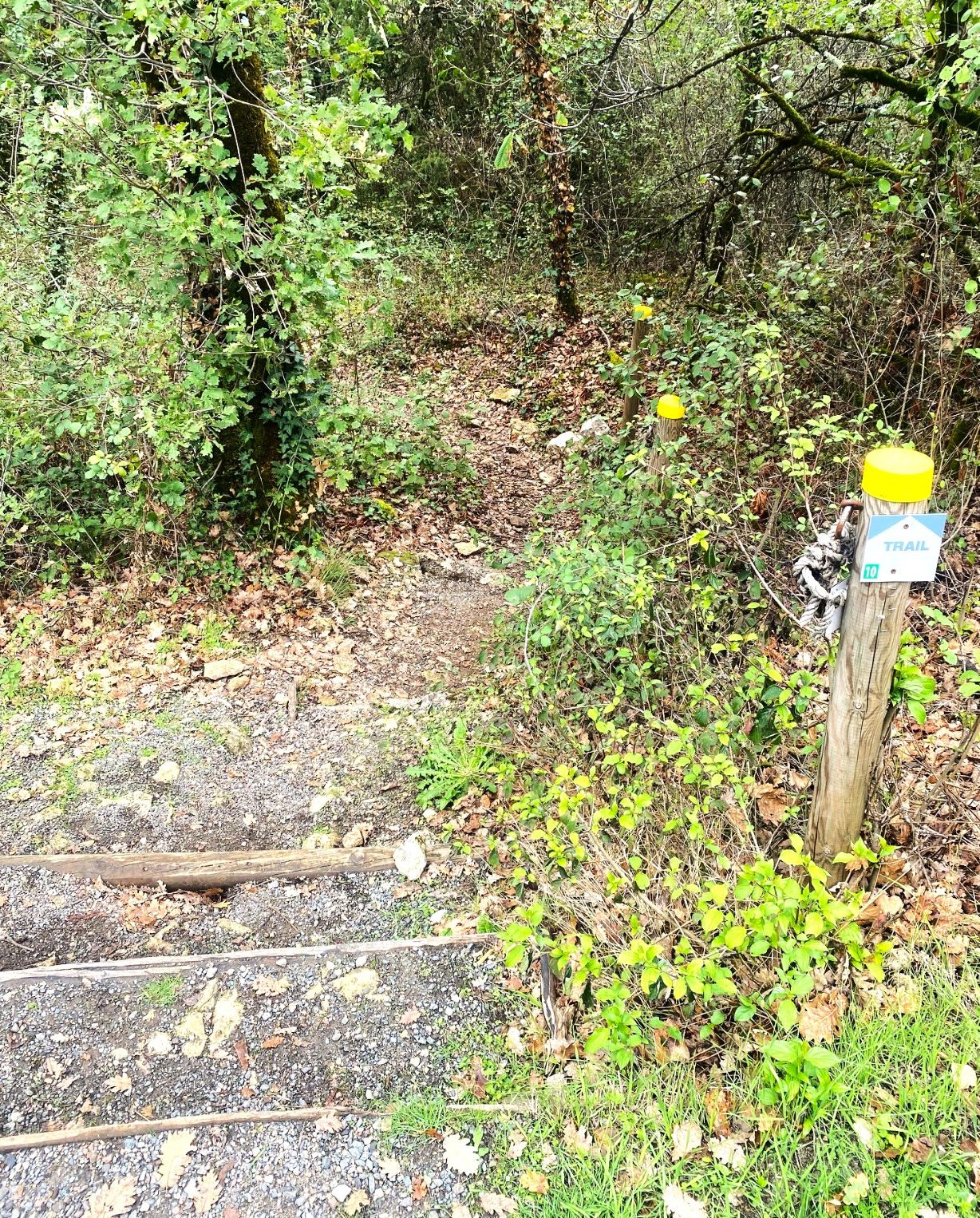 Boucle Promenade de Lascaux n° 17 / Montignac