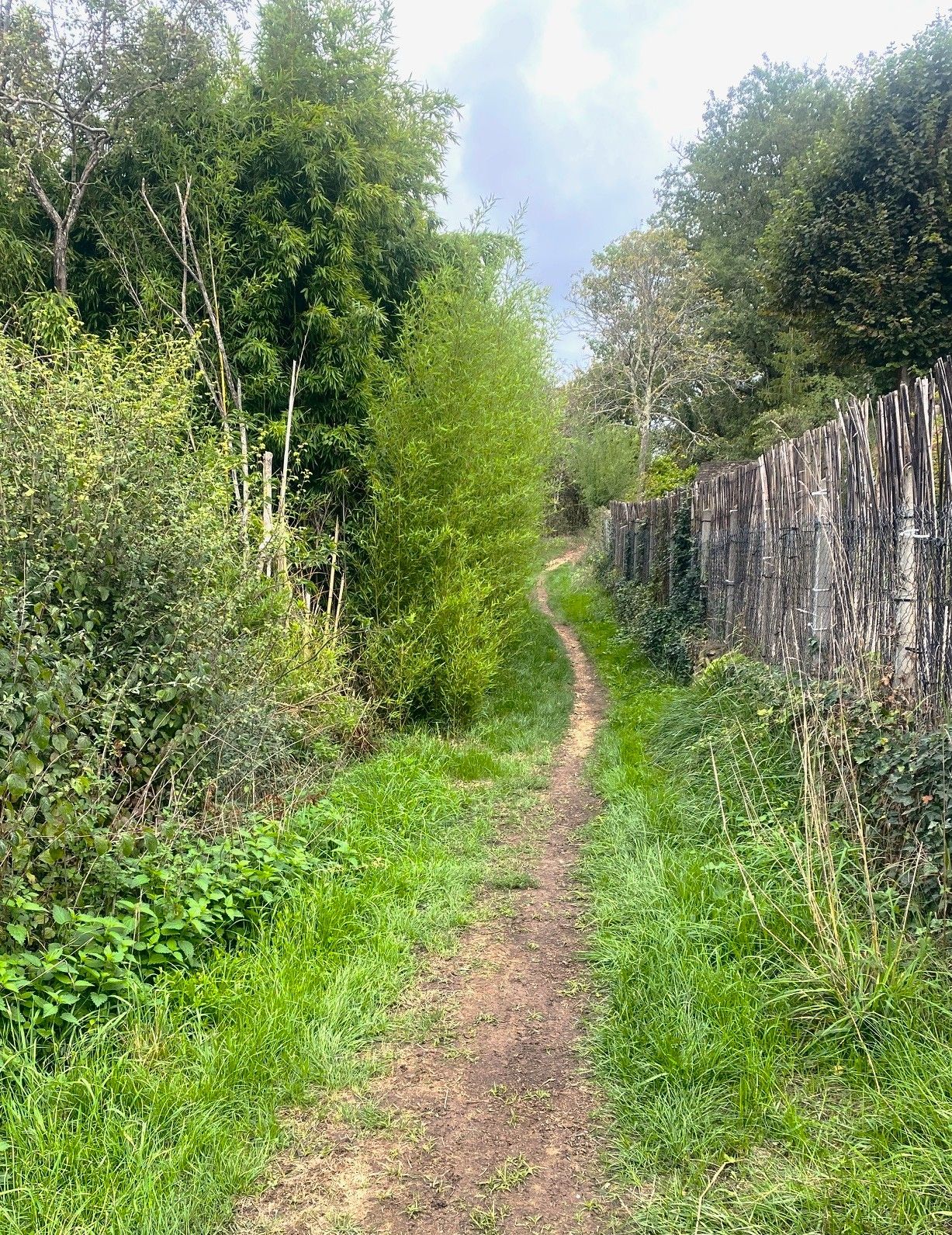 Boucle Promenade de Lascaux n° 17 / Montignac, Montignac-Lascaux