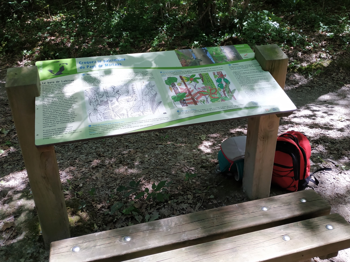 Serres-Morlaàs : forêt de Lahitau - photo 3