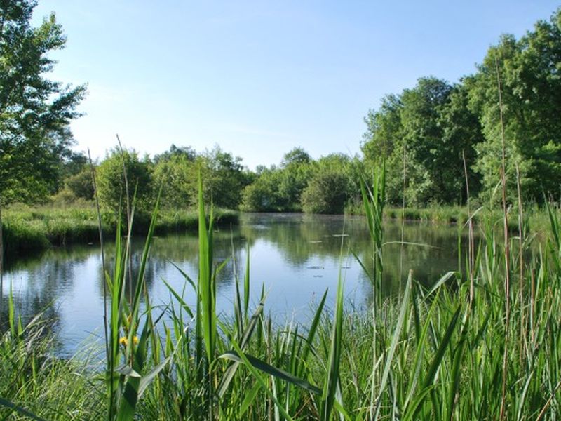 Sortie photo naturaliste avec le Syndicat du Moron