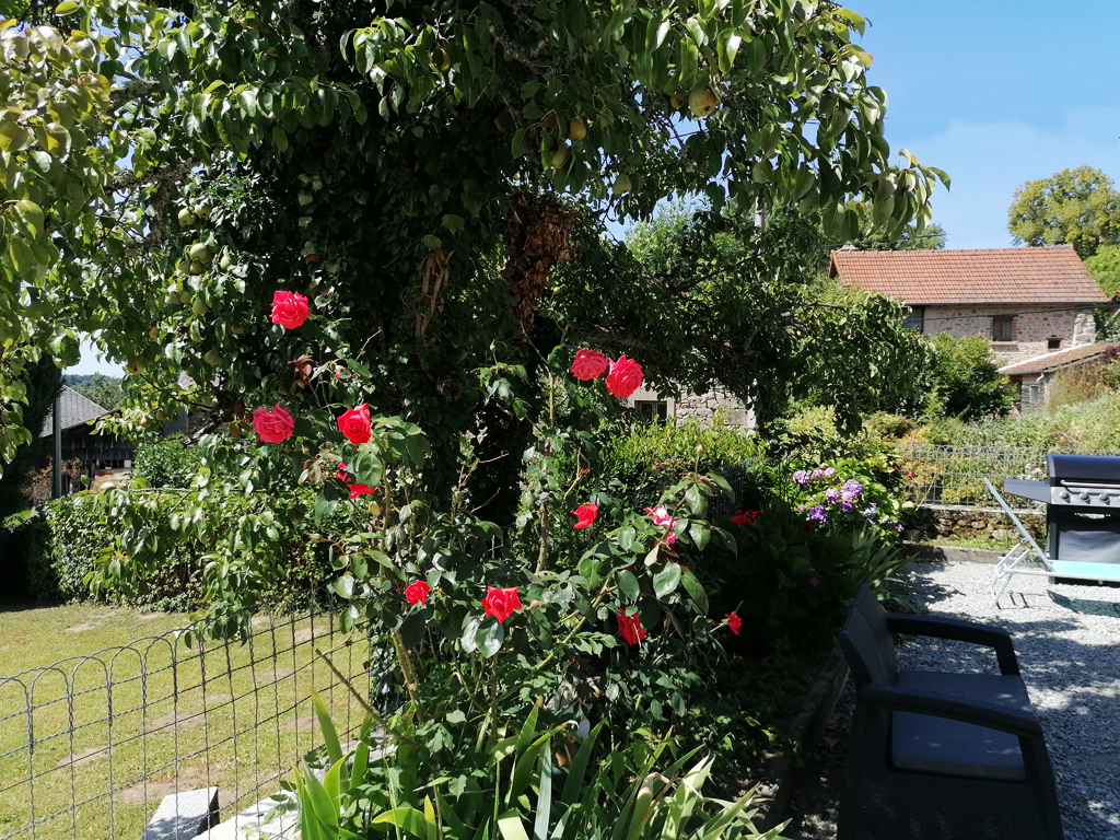 Location "La Borne" - photo 5