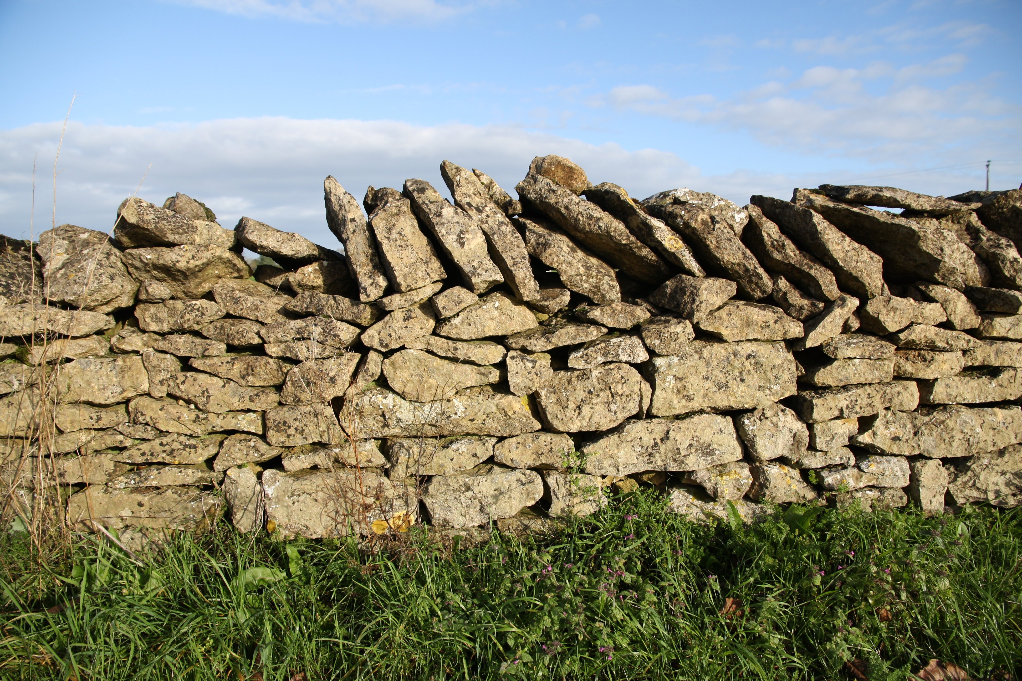 Sciecq, Sciecq - photo 3