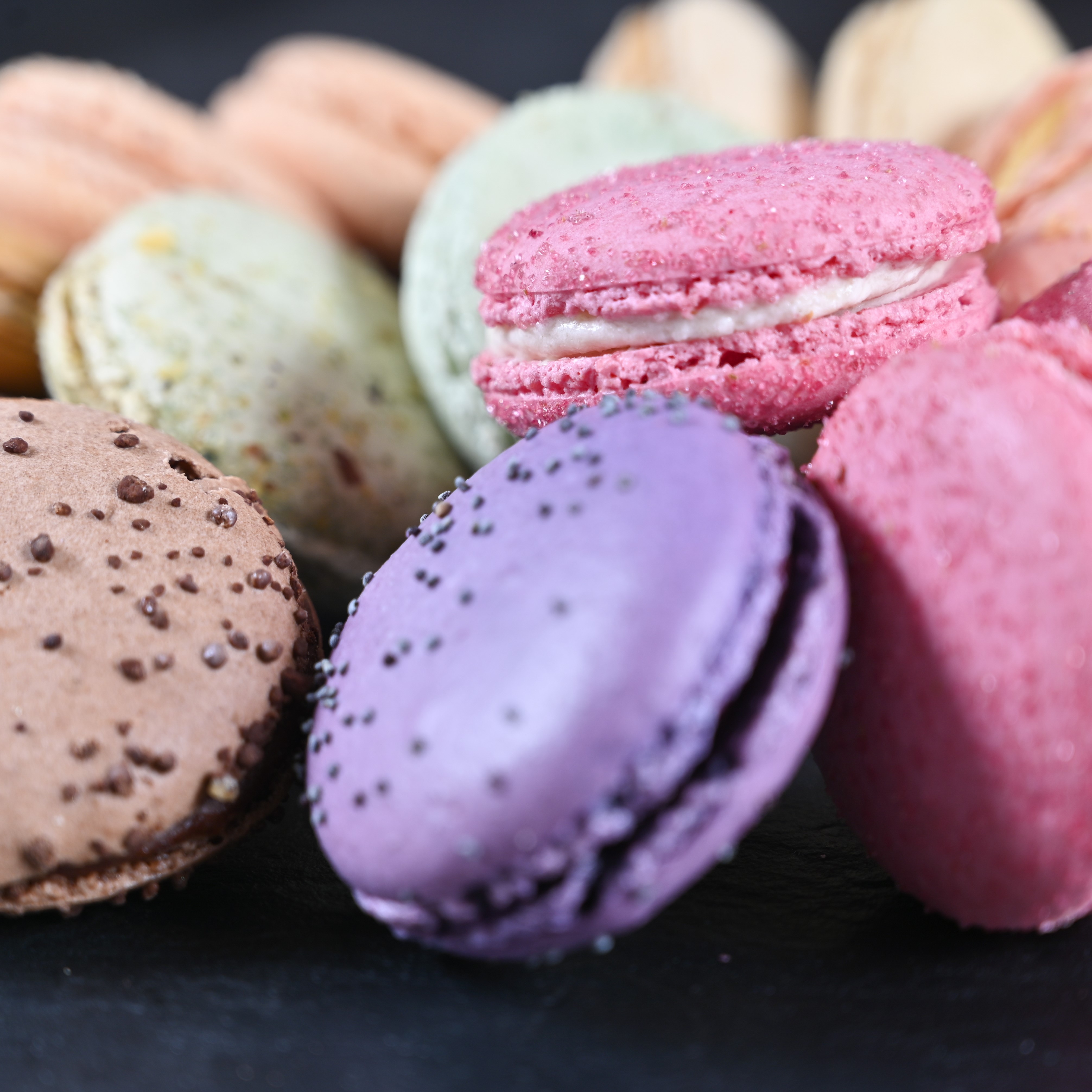 Cathala - Chocolatier & pâtissier - L’Atelier