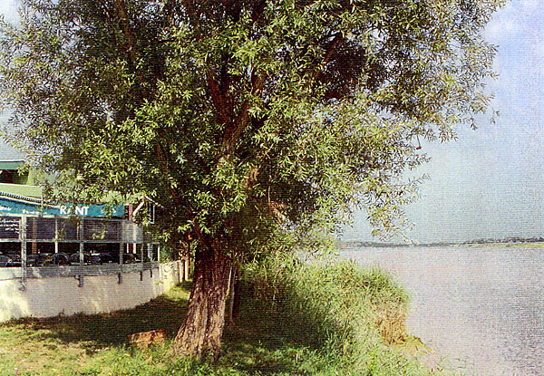 Port de Macau - photo 2