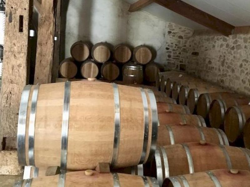 Château Les Maubats - photo 3