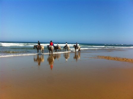 La Maison Rose - Aupa Immobilier, Messanges - photo 12