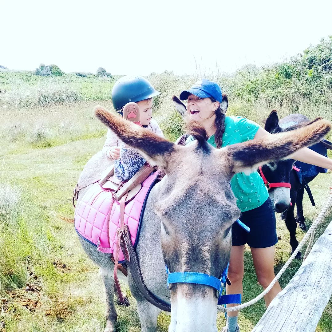 Les ânes voyageurs - photo 2