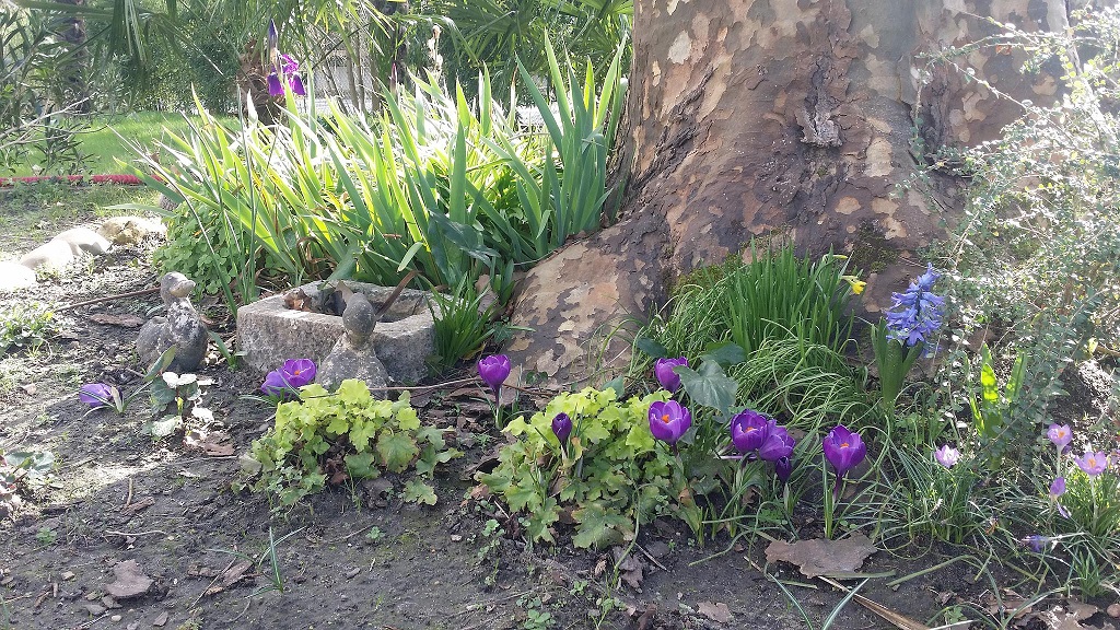 Petite Maison Azu, Josse - photo 17