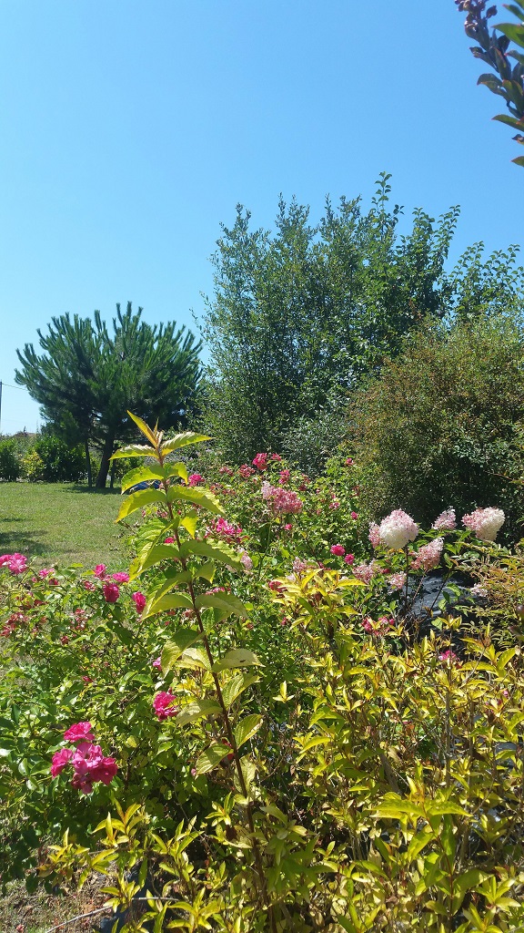 Petite Maison Azu, Josse - photo 13