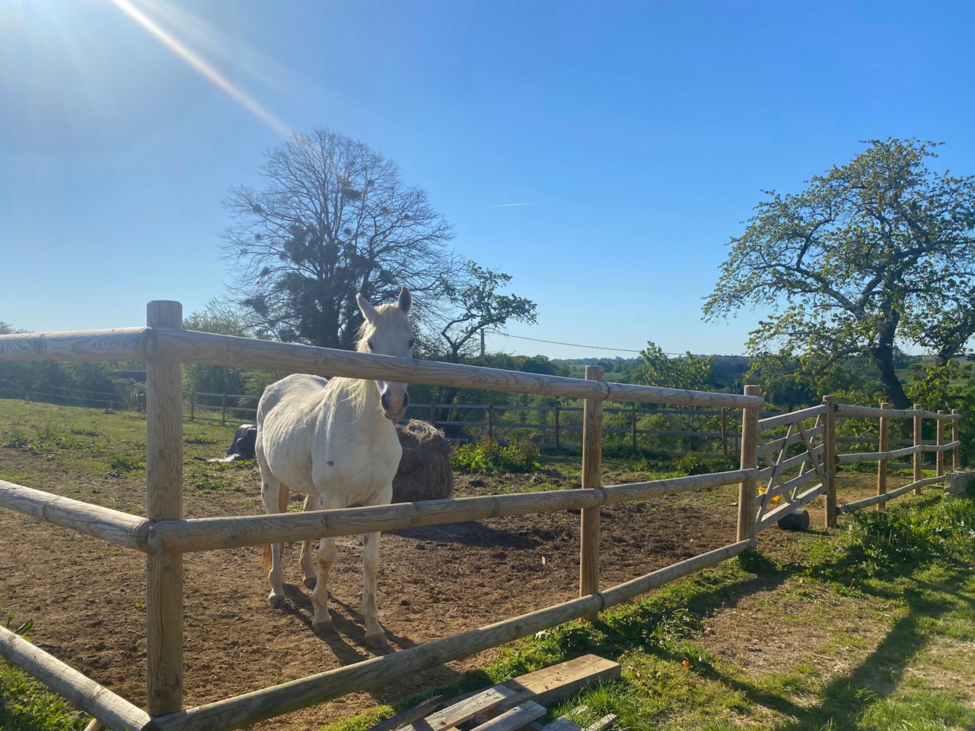 Maison Berducq, Monein - photo 7