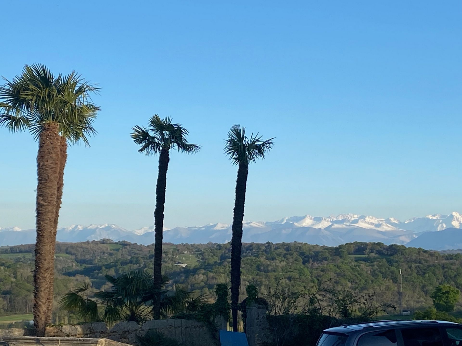 Maison Berducq, Monein - photo 9