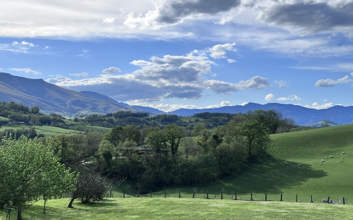 Maison Biscaya - Chambres d'Hôtes, Caro - photo 4