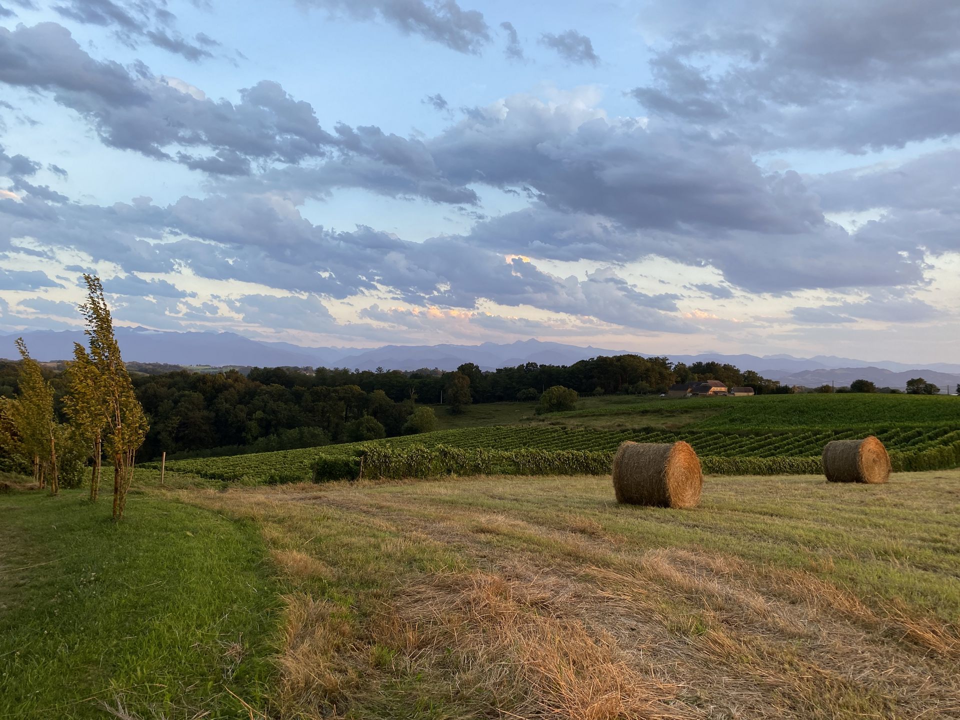 Maison Castaings, Lucq-de-Béarn - photo 11