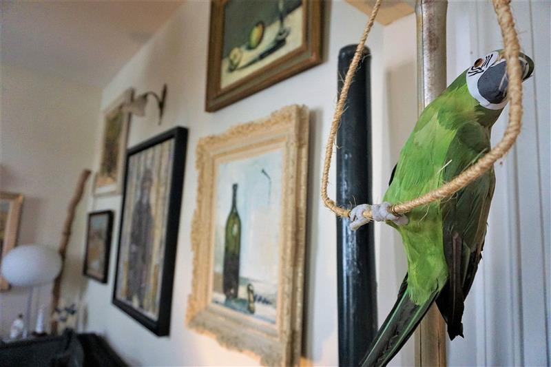 Hôtel Maison Garnier