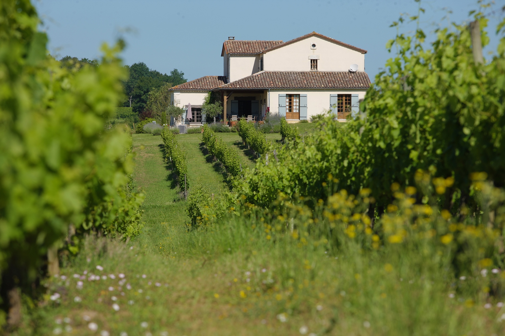 Maison du Domaine du Grand Mayne, Villeneuve-de-Duras - photo 19