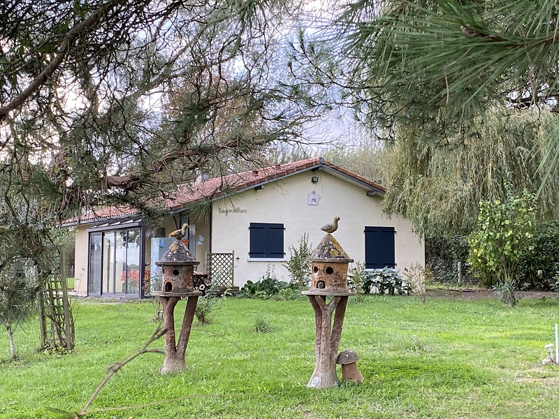 Bougainvilliers - photo 4