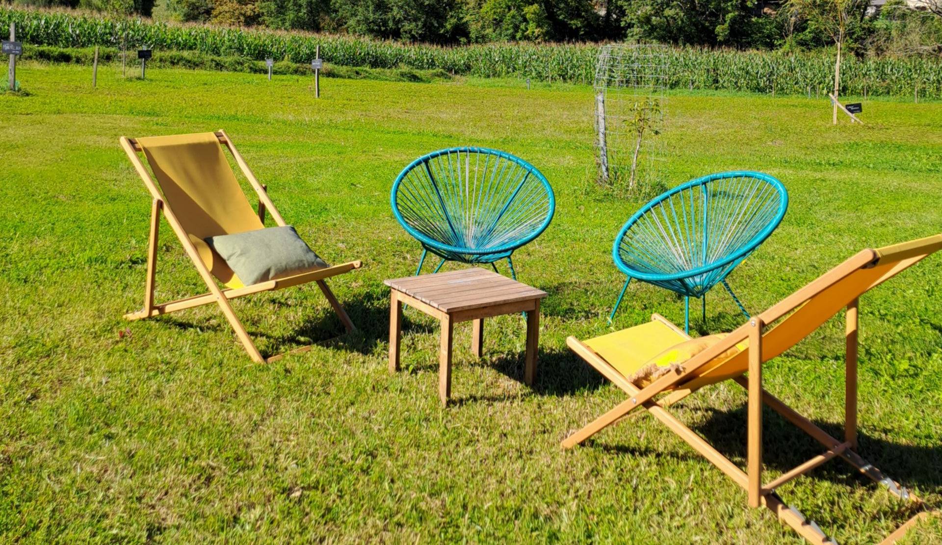 Maison Labeye, Cardesse - photo 8