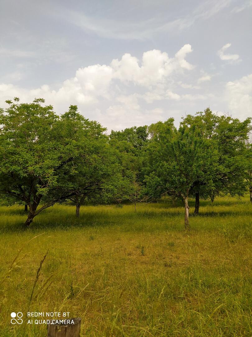 Maison Lemonie - photo 2