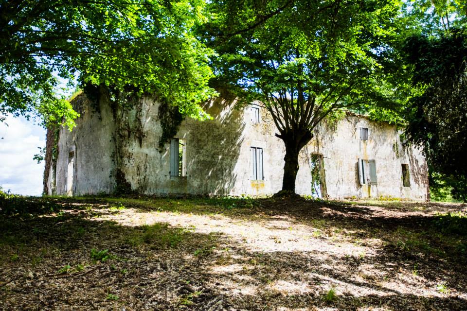 Exposition Marguerite Duras : Toute une vie j'ai écrit, Duras - photo 9