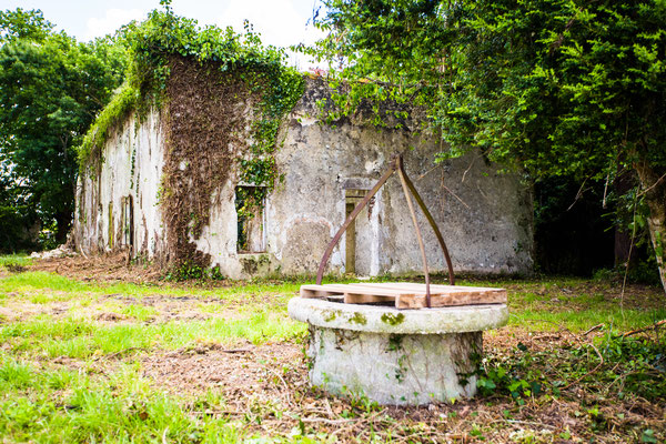 Exposition Marguerite Duras : Toute une vie j'ai écrit, Duras - photo 13