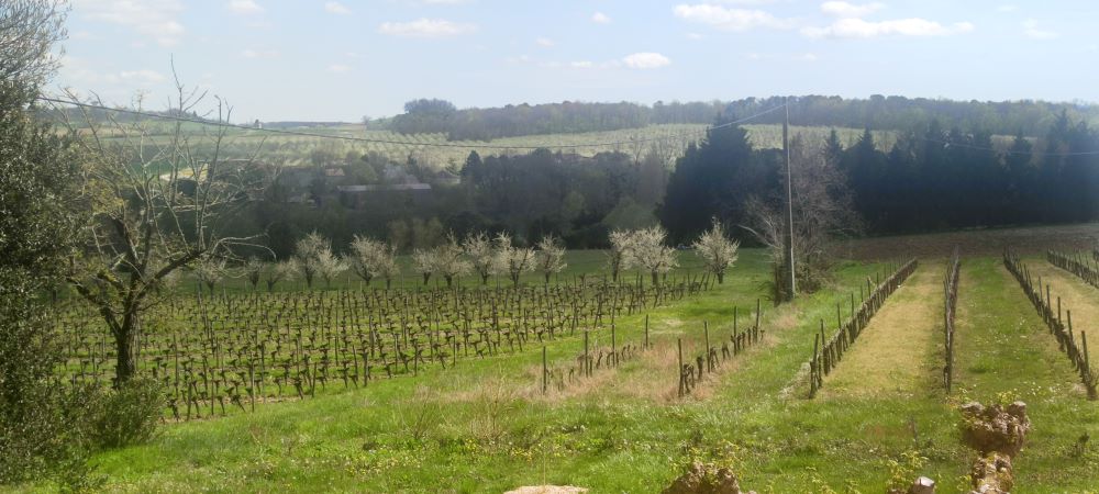 La Maison de Campagne : La Chambre Bleue, Villeneuve-de-Duras - photo 6
