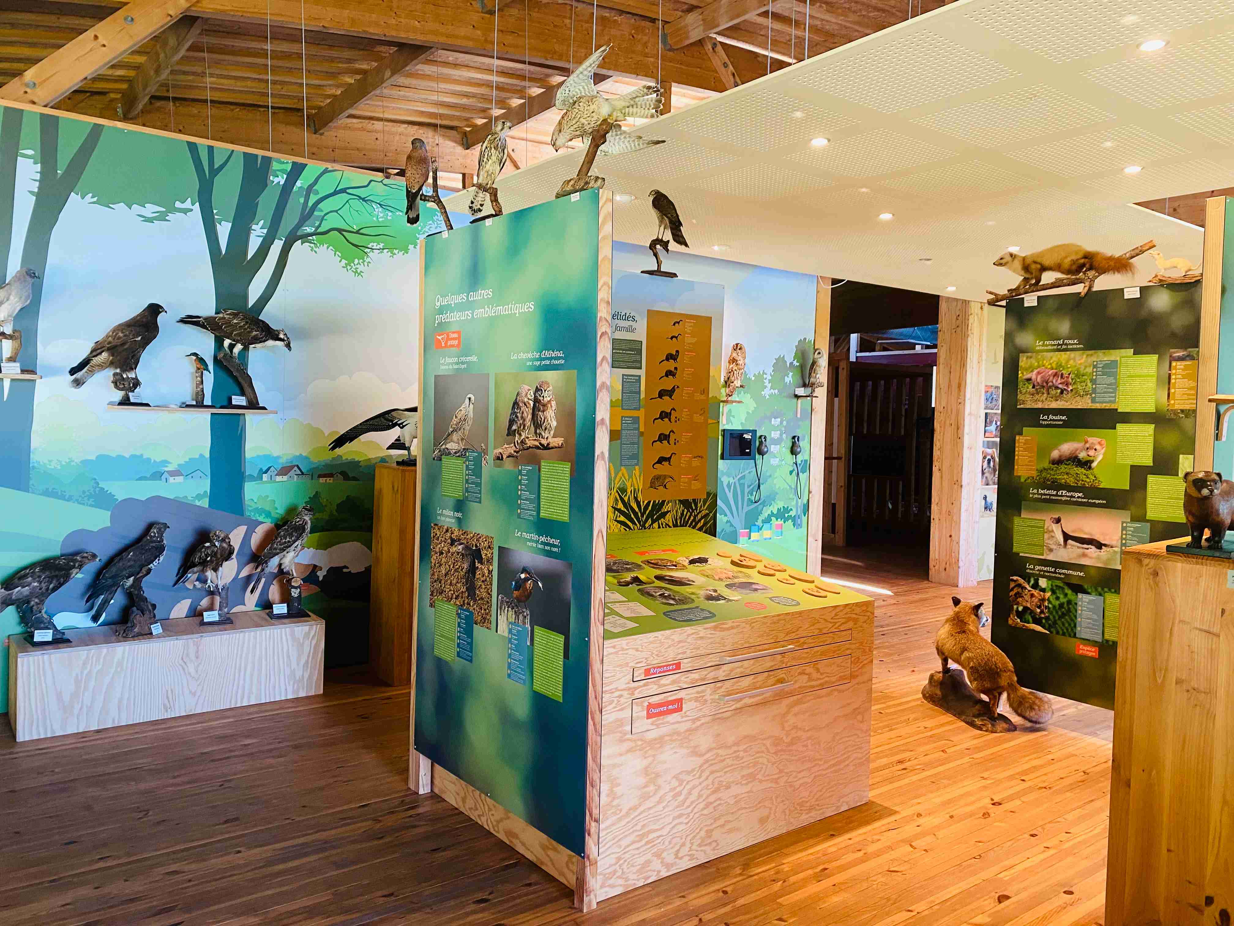 Centre Départemental de la Nature et des Pratiques Cynégétiques, Fargues-sur-Ourbise - photo 3
